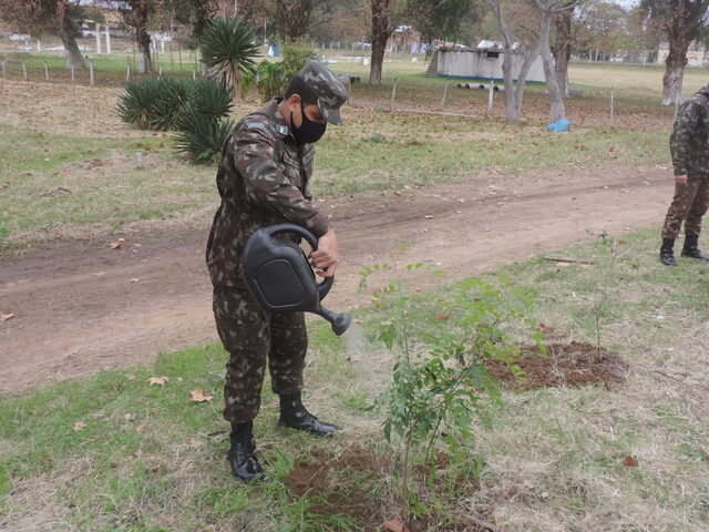 Smn Meio Ambiente 5